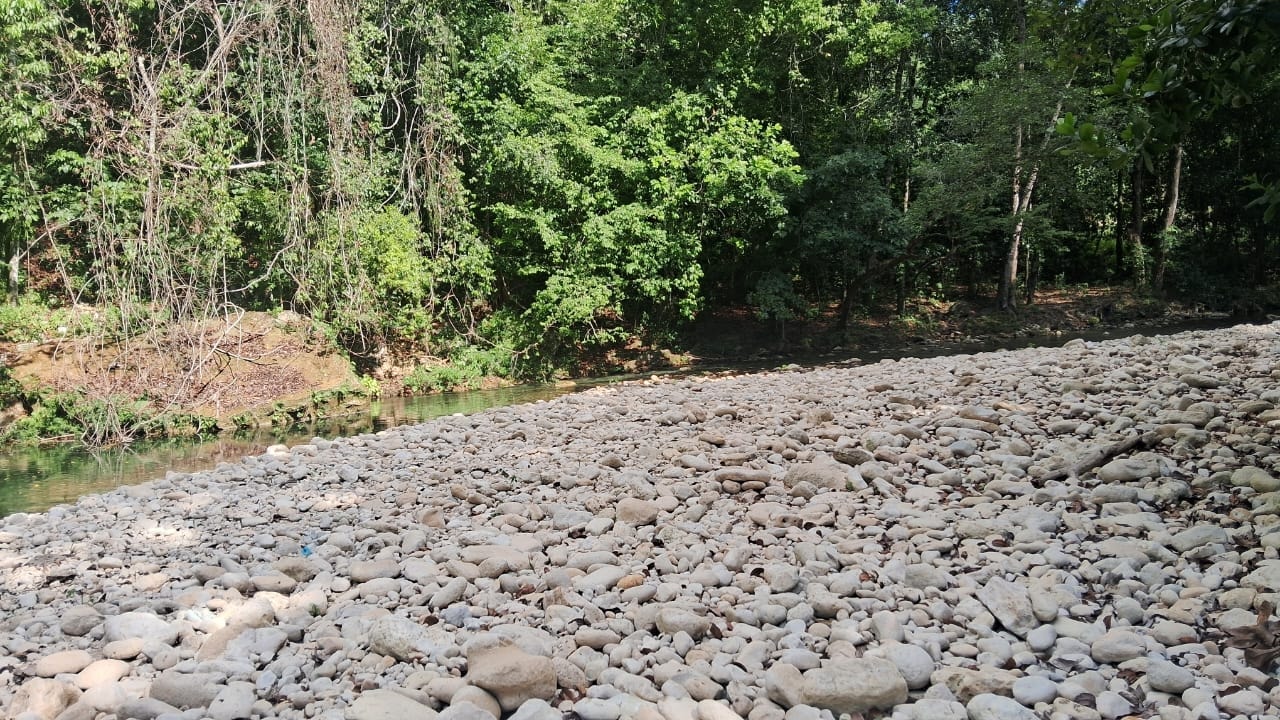 Sendero ecológico